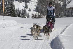 Kandersteg 2013